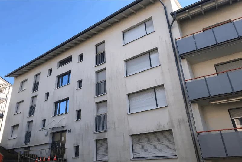 Fassade mit starkem Algenbefall vor der Reinigung