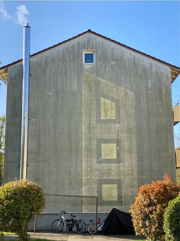 Fassade mit dunklen Flecken und Algenbefall